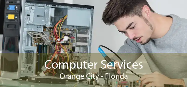 Computer Services Orange City - Florida