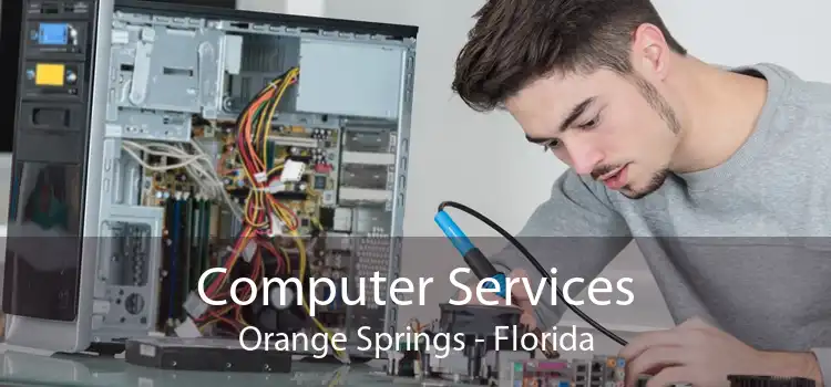 Computer Services Orange Springs - Florida
