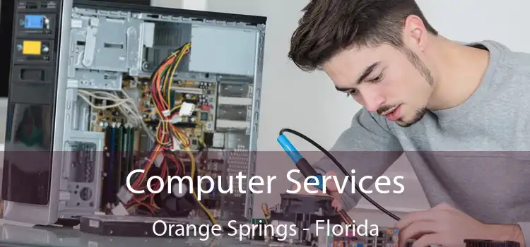 Computer Services Orange Springs - Florida