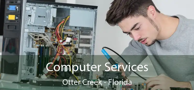 Computer Services Otter Creek - Florida