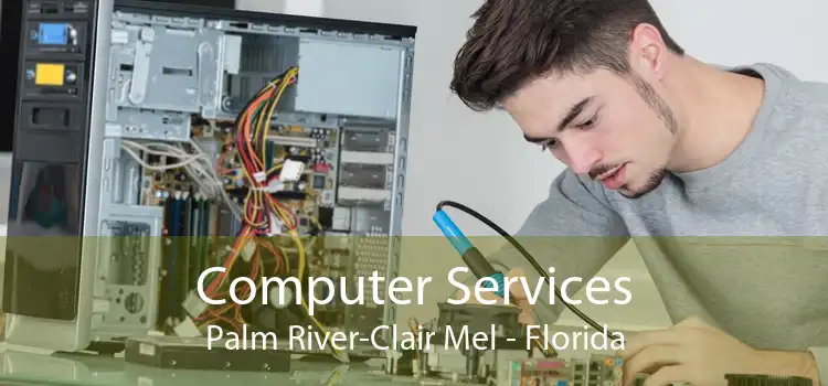Computer Services Palm River-Clair Mel - Florida