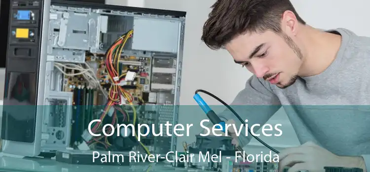 Computer Services Palm River-Clair Mel - Florida
