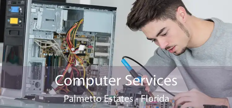 Computer Services Palmetto Estates - Florida