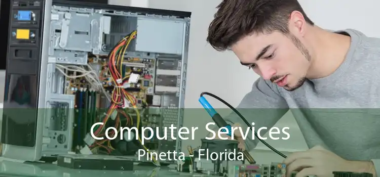 Computer Services Pinetta - Florida
