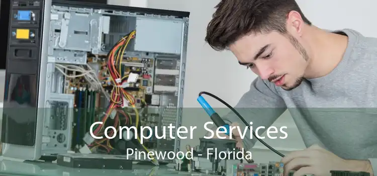 Computer Services Pinewood - Florida