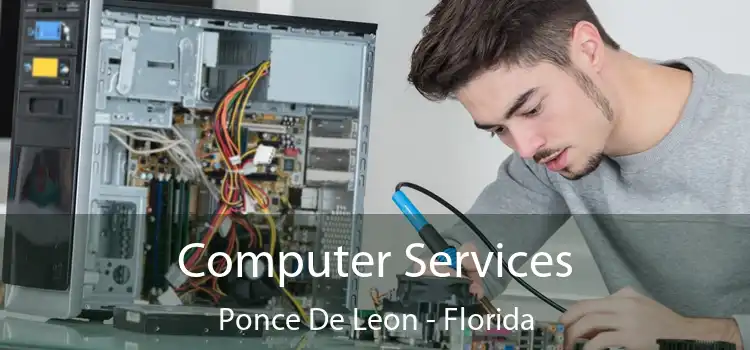 Computer Services Ponce De Leon - Florida