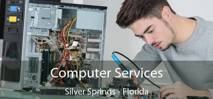 Computer Services Silver Springs - Florida