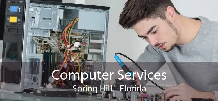 Computer Services Spring Hill - Florida