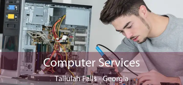 Computer Services Tallulah Falls - Georgia