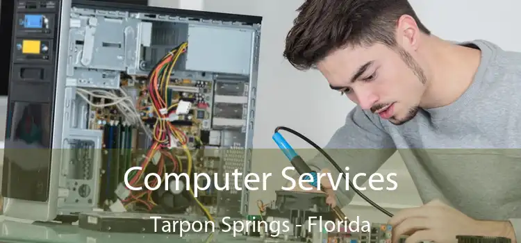 Computer Services Tarpon Springs - Florida