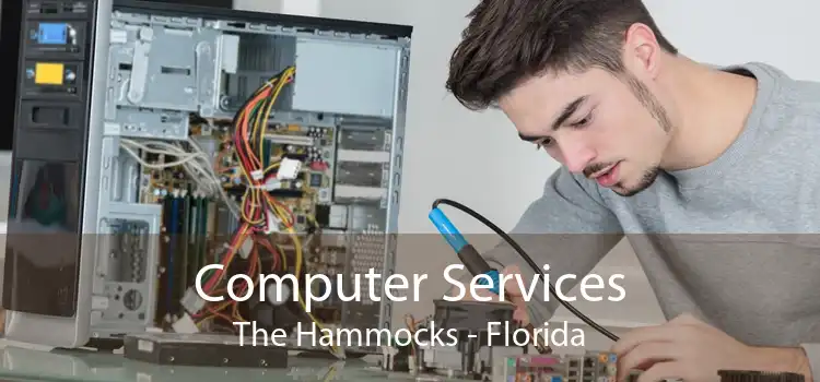Computer Services The Hammocks - Florida