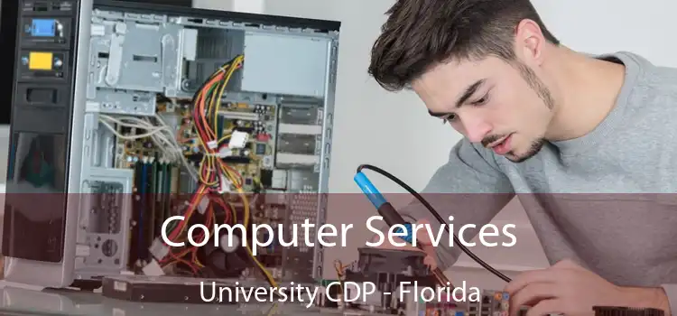 Computer Services University CDP - Florida