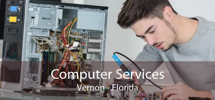 Computer Services Vernon - Florida