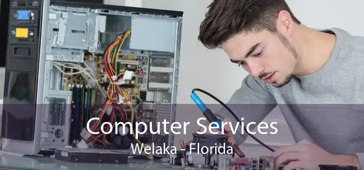 Computer Services Welaka - Florida