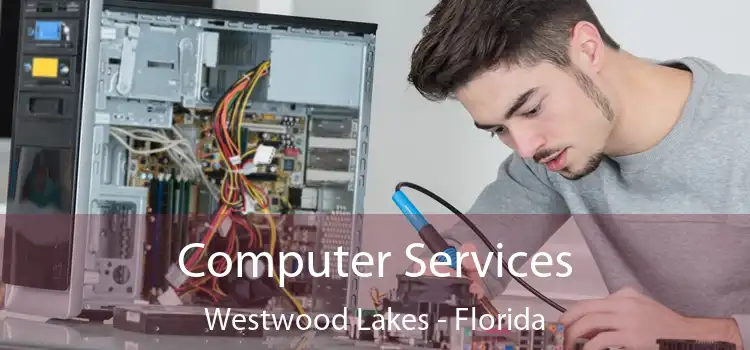 Computer Services Westwood Lakes - Florida