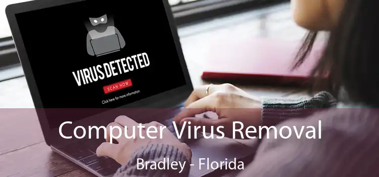 Computer Virus Removal Bradley - Florida