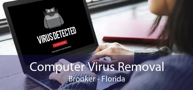 Computer Virus Removal Brooker - Florida