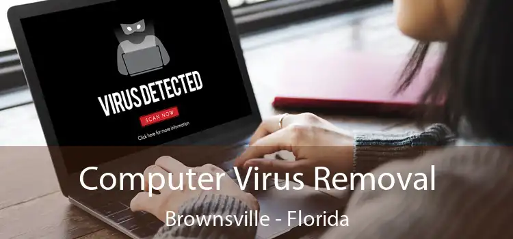 Computer Virus Removal Brownsville - Florida