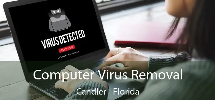 Computer Virus Removal Candler - Florida