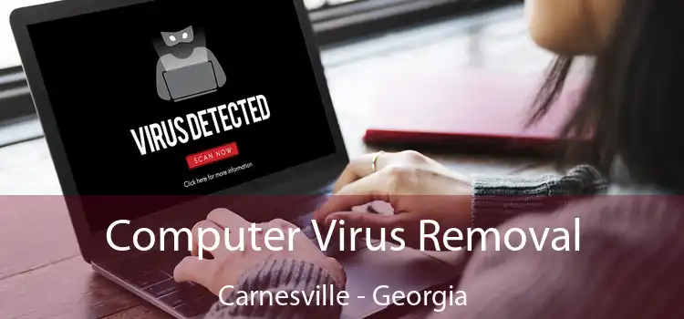 Computer Virus Removal Carnesville - Georgia