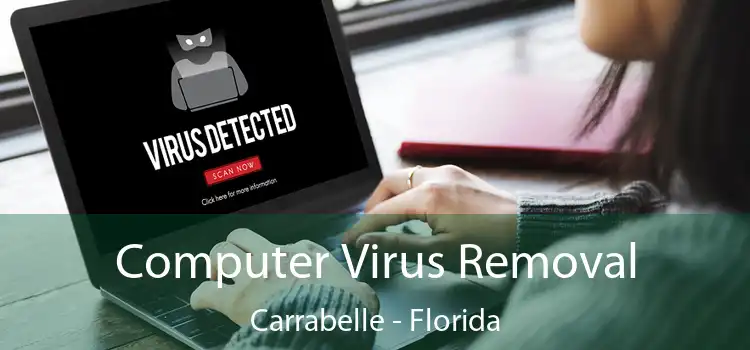 Computer Virus Removal Carrabelle - Florida