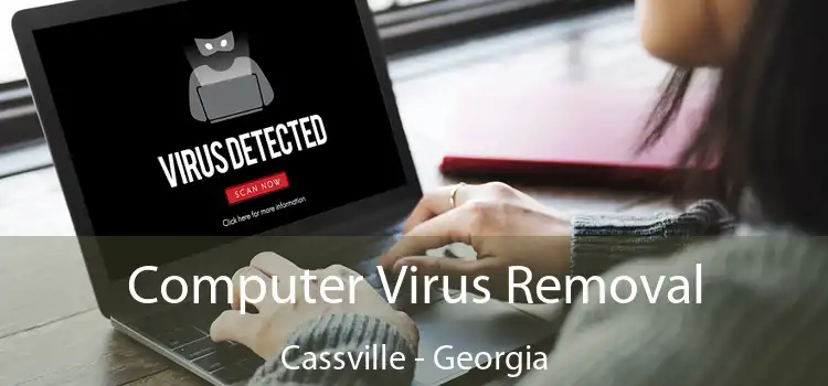 Computer Virus Removal Cassville - Georgia