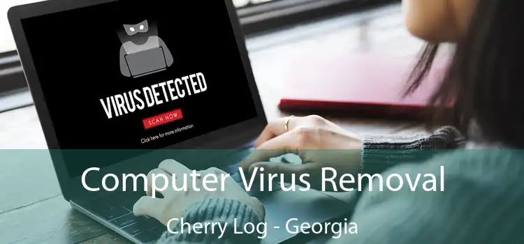 Computer Virus Removal Cherry Log - Georgia