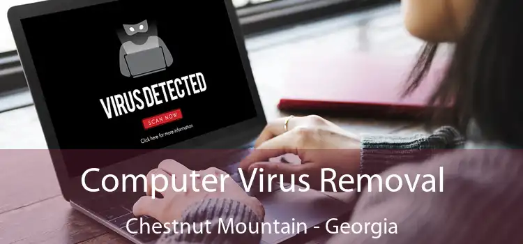 Computer Virus Removal Chestnut Mountain - Georgia