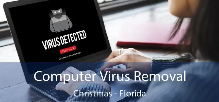 Computer Virus Removal Christmas - Florida