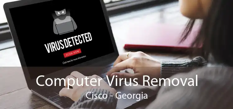 Computer Virus Removal Cisco - Georgia