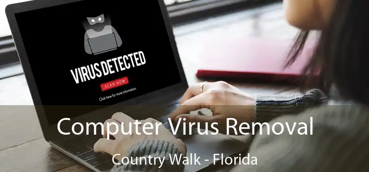 Computer Virus Removal Country Walk - Florida