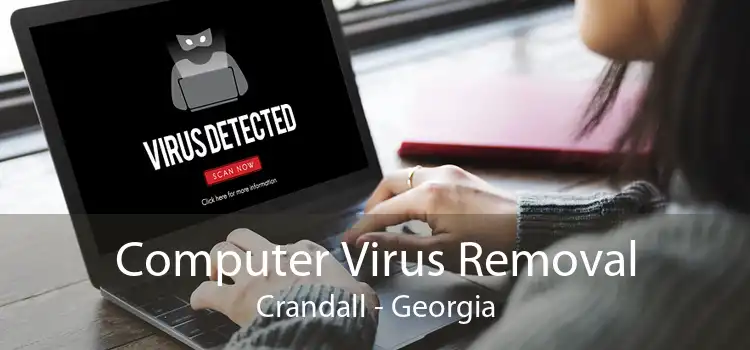 Computer Virus Removal Crandall - Georgia