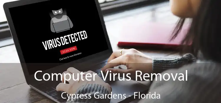 Computer Virus Removal Cypress Gardens - Florida