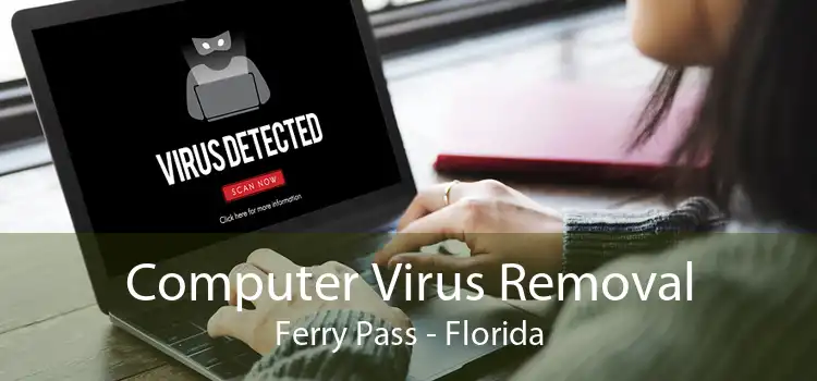 Computer Virus Removal Ferry Pass - Florida