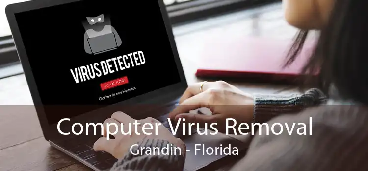 Computer Virus Removal Grandin - Florida