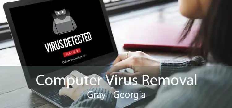 Computer Virus Removal Gray - Georgia