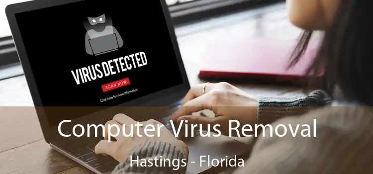 Computer Virus Removal Hastings - Florida