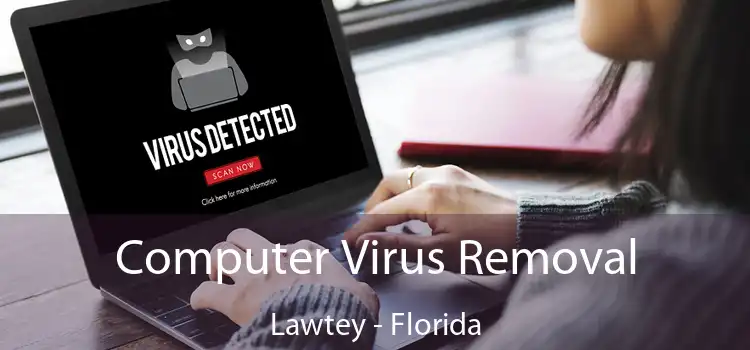 Computer Virus Removal Lawtey - Florida