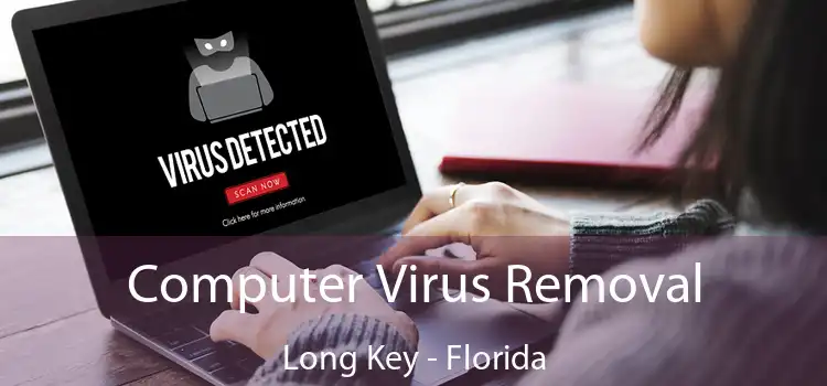 Computer Virus Removal Long Key - Florida