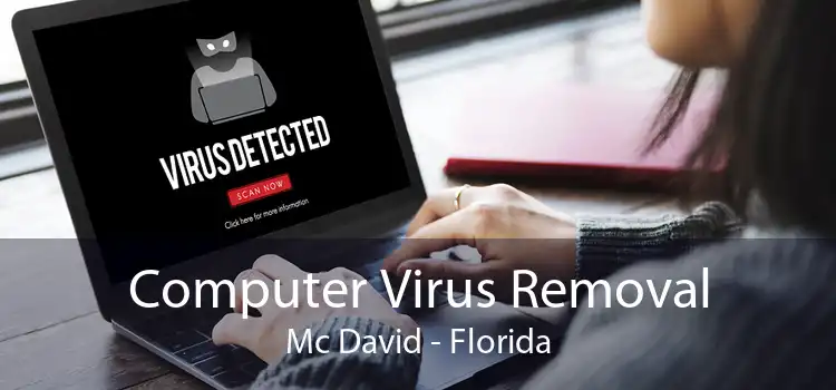 Computer Virus Removal Mc David - Florida