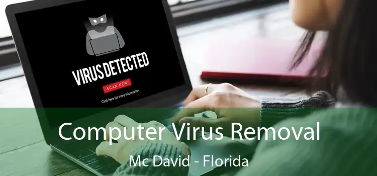 Computer Virus Removal Mc David - Florida