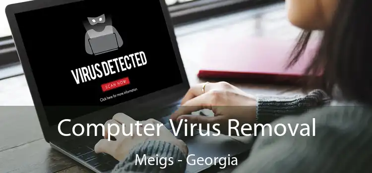 Computer Virus Removal Meigs - Georgia