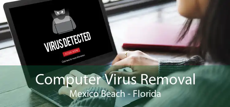 Computer Virus Removal Mexico Beach - Florida