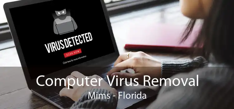 Computer Virus Removal Mims - Florida