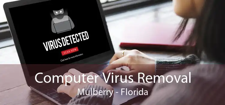 Computer Virus Removal Mulberry - Florida
