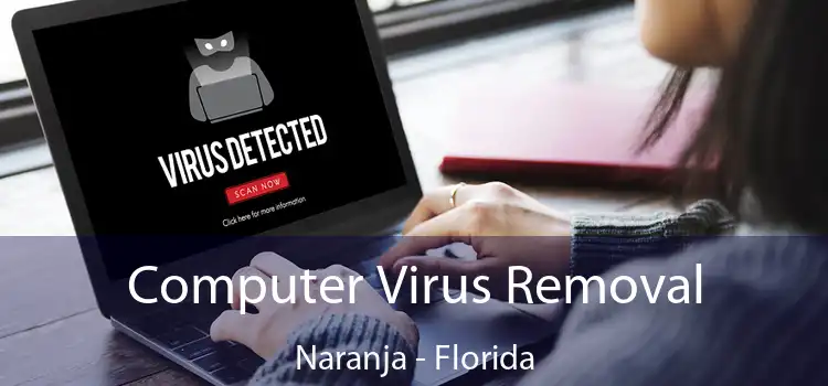 Computer Virus Removal Naranja - Florida