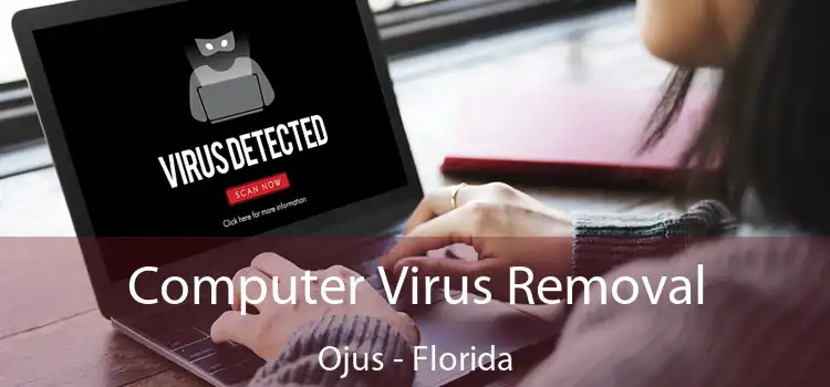Computer Virus Removal Ojus - Florida