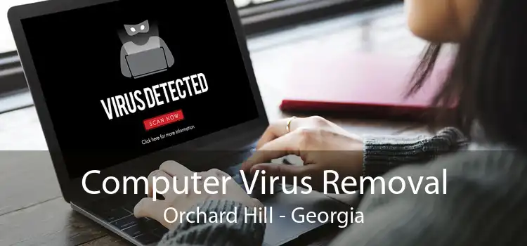 Computer Virus Removal Orchard Hill - Georgia