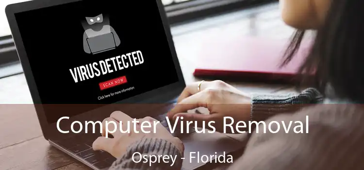 Computer Virus Removal Osprey - Florida