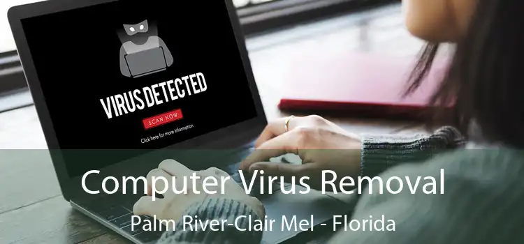 Computer Virus Removal Palm River-Clair Mel - Florida